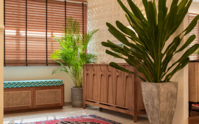 Embracing Nature: How Biophilic Design is Transforming Interiors in 2024